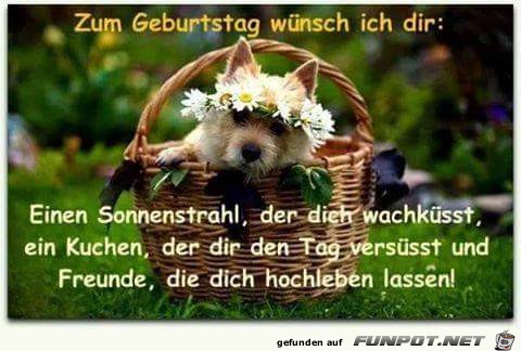 zum Geburtstag zum Geburtstag