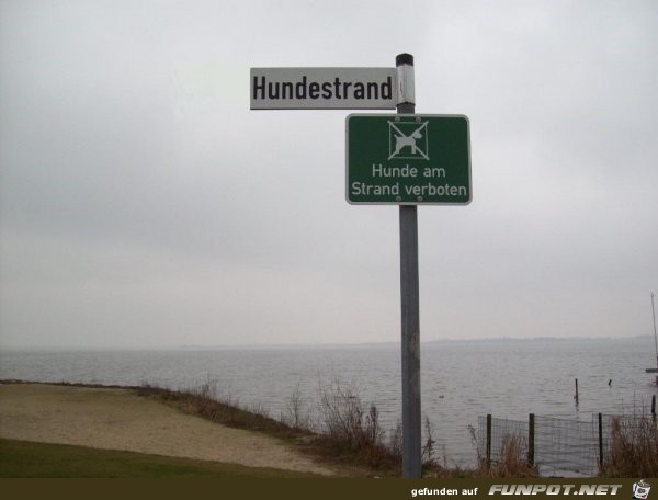 Hundestrand Hundestrand
