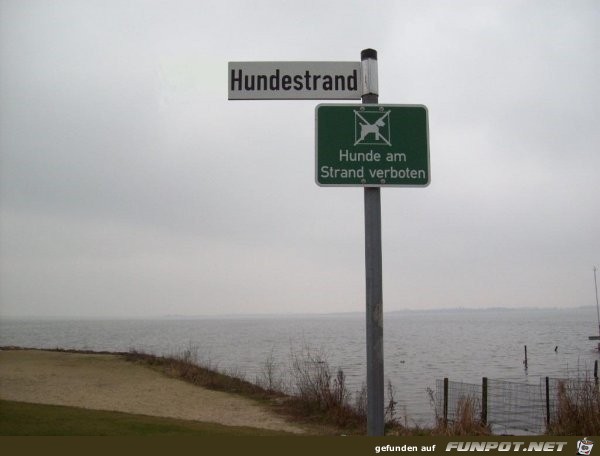 Hundestrand