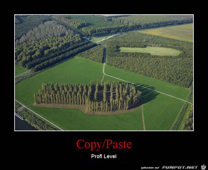 Copy Copy