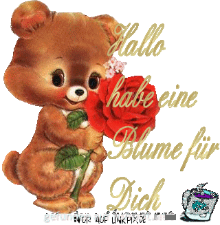 hallo hallo