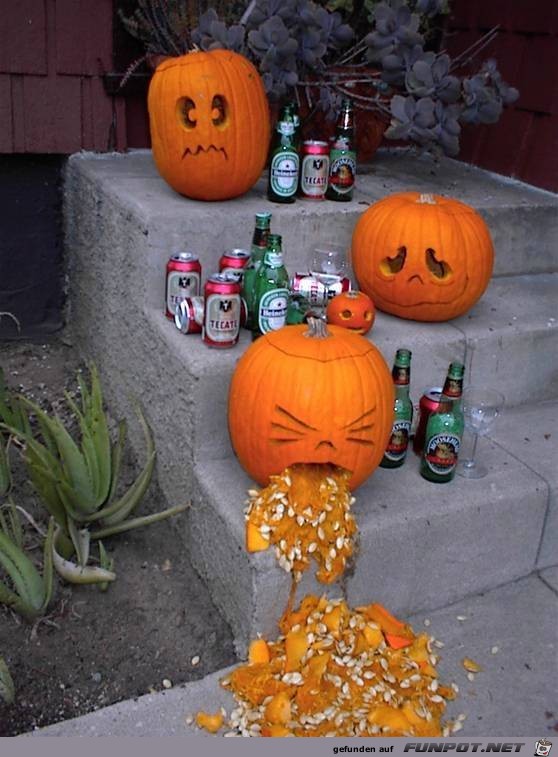 Witzige Bilder zu Halloween