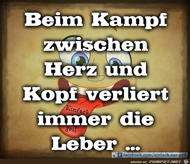 Kampf Kampf
