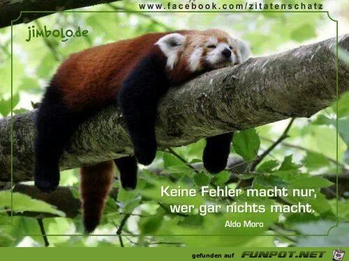 Keine Fehler macht nur... Keine Fehler macht nur...