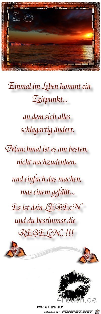 einmal im leben einmal im leben