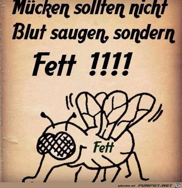 Fett Fett