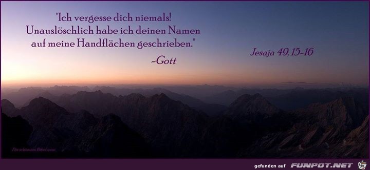 Jes Jes
