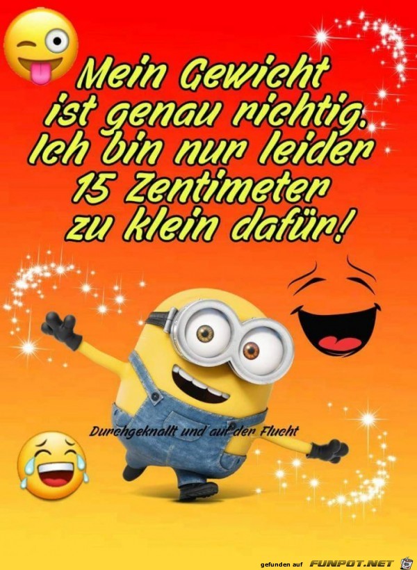mein Gewicht mein Gewicht