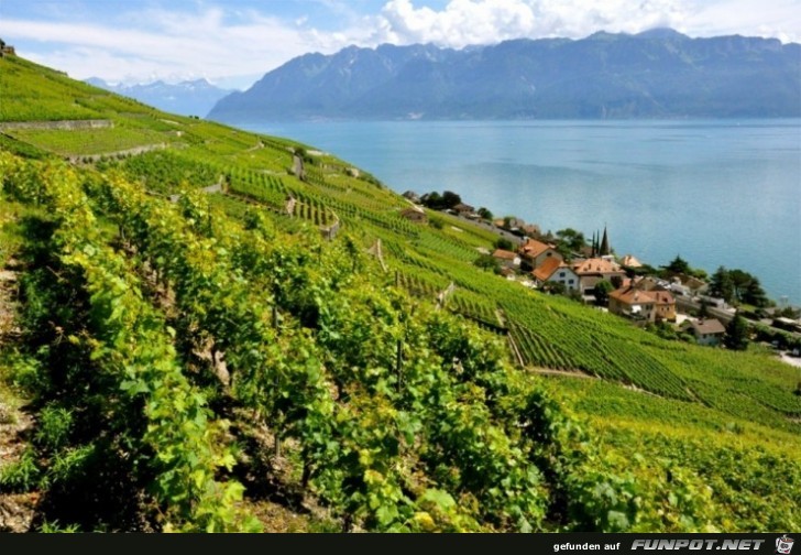 Die schoensten Wein-Gegenden der Welt 14 Die schoensten Wein-Gegenden der Welt 14