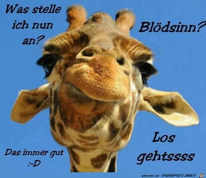 los geehts0 los geehts0