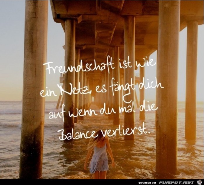 freundschaft-ist-wie-ein-netz- freundschaft-ist-wie-ein-netz-