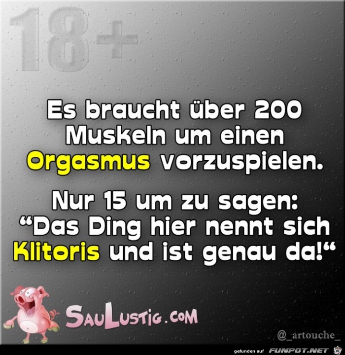 Es-braucht-200-Muskeln Es-braucht-200-Muskeln