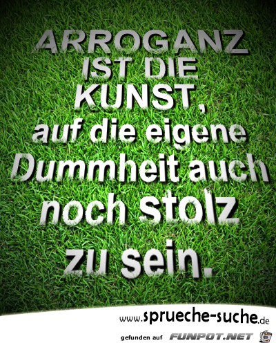 arroganz-ist-die-kunst-auf-die-eigene-dummheit-auch