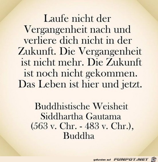 laufe nicht laufe nicht