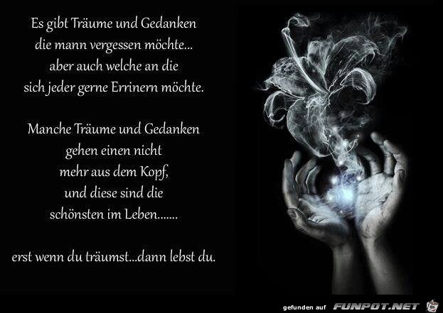 traeume traeume