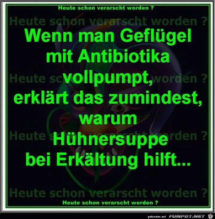 Huehnersuppe Huehnersuppe
