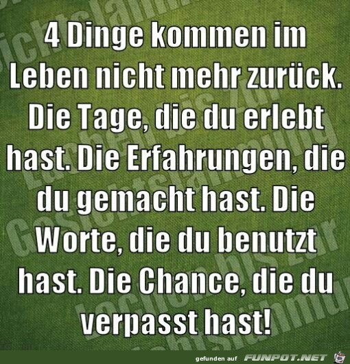 vier Dinge