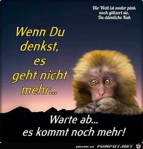 Wenn du denkst Wenn du denkst