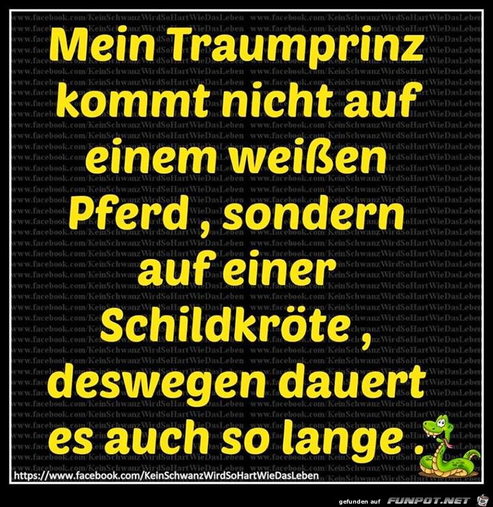 Traumprinz 1 Traumprinz 1