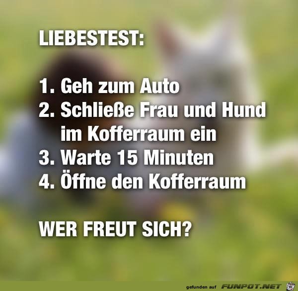 Liebestest Liebestest
