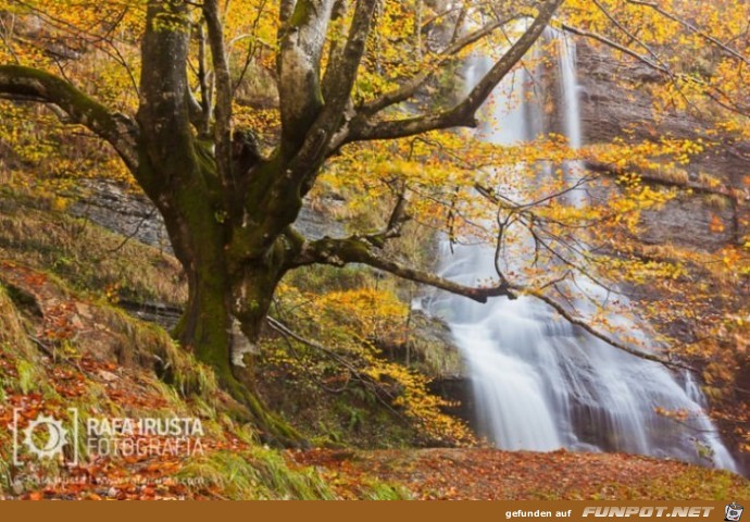 Tolle Orte, die du im Herbst besuchen kannst!