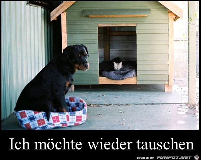 ich moechte wieder tauschen ich moechte wieder tauschen