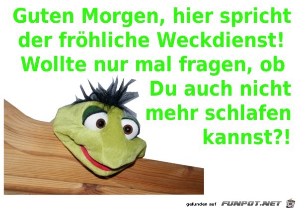 guten Morgen 