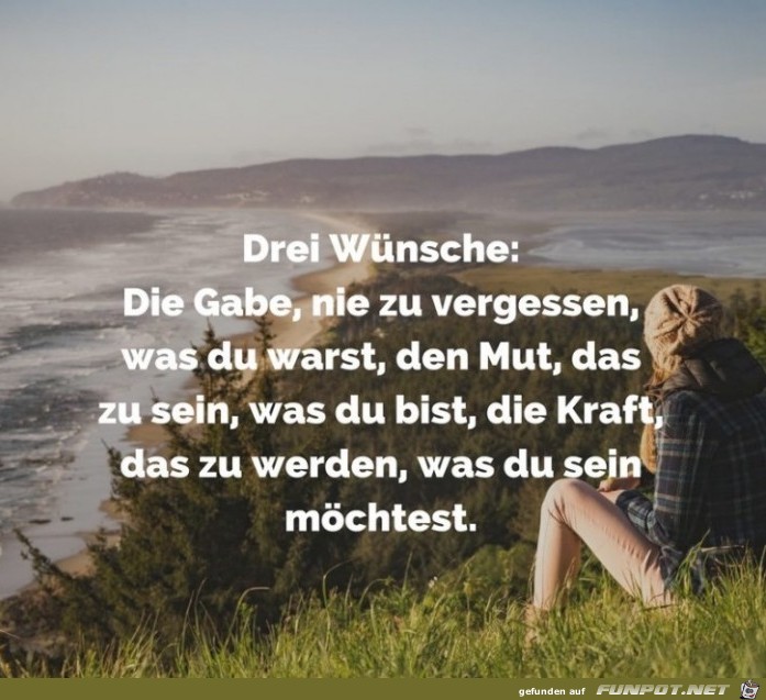 drei wuensche