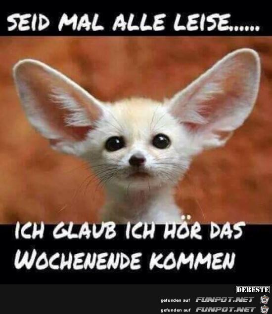 seid mal alle leise seid mal alle leise