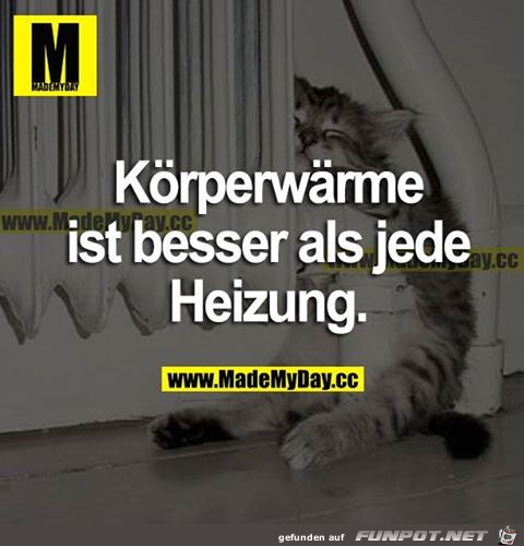 Koerperwaerme Koerperwaerme