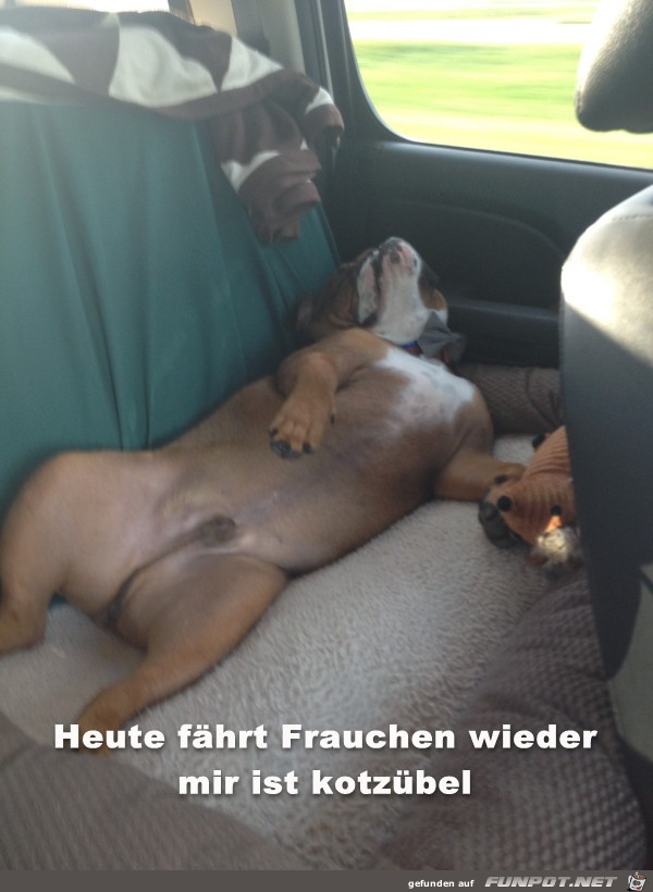 fahren fahren