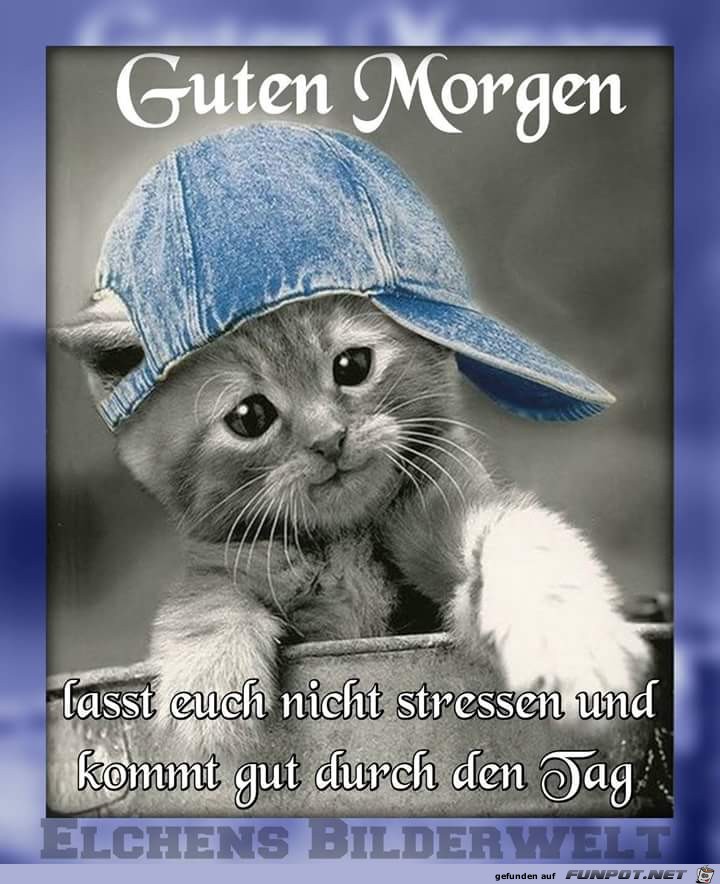 Guten Morgen 