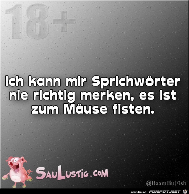 Sprichwoerter-merken Sprichwoerter-merken