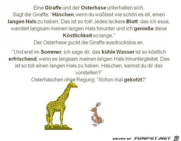eine-giraffe eine-giraffe