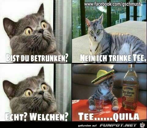 tee tee