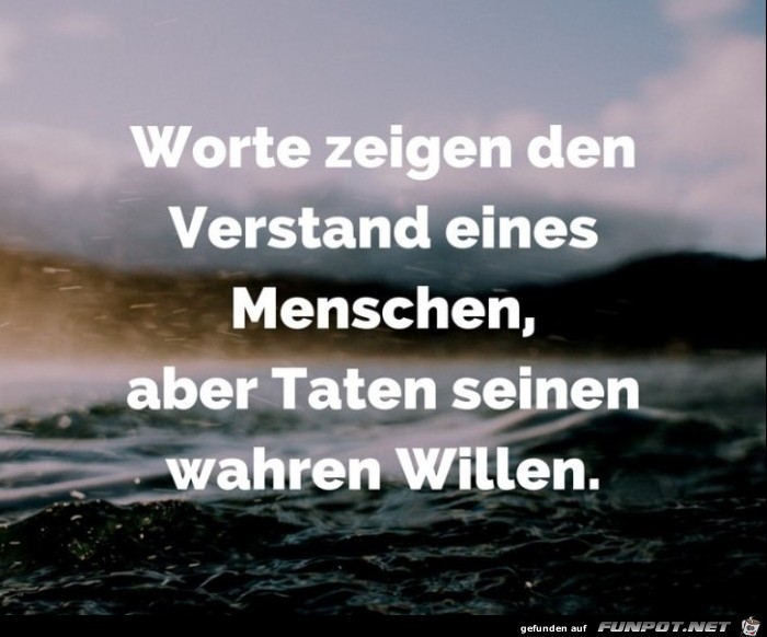 worte-zeigen-