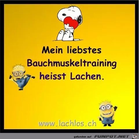 bauchmuskeltraining