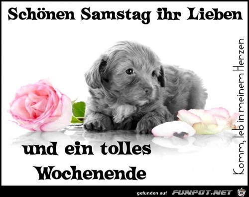 samstag240 samstag240