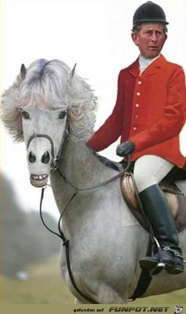 charles-und-sein-pferd charles-und-sein-pferd