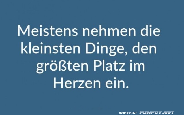 meistens-nehmen-die-kleinsten-dinge-