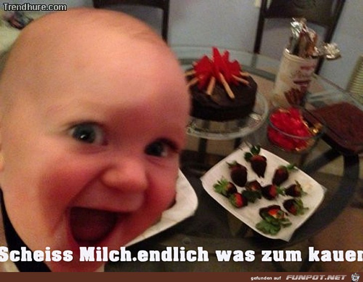 Scheiss Milch...