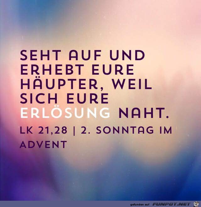 lukas 21 28 lukas 21 28
