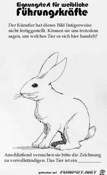 Eignungstest fuer weibliche Fuerhungskraefte Eignungstest fuer weibliche Fuerhungskraefte