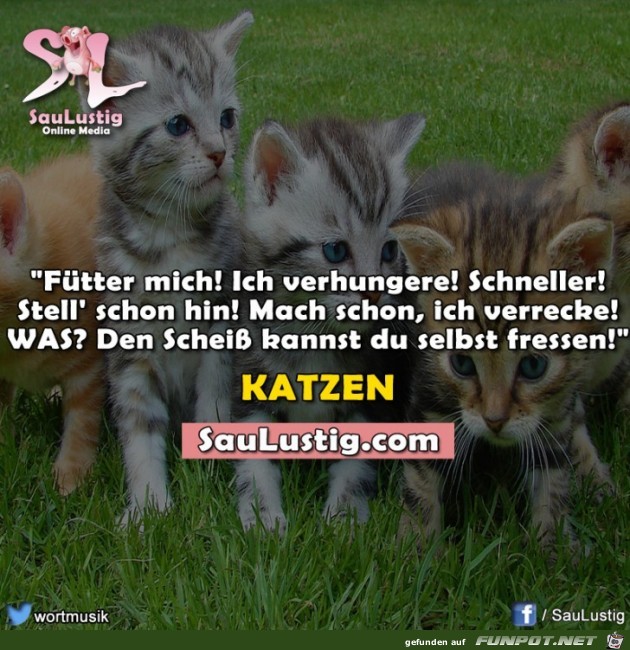 Fuetter-mich Fuetter-mich