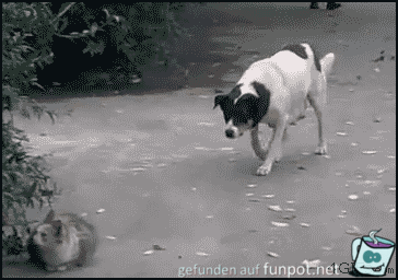 Ich hab dich Ich hab dich
