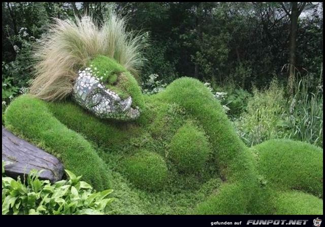 Mother-Natur Mother-Natur