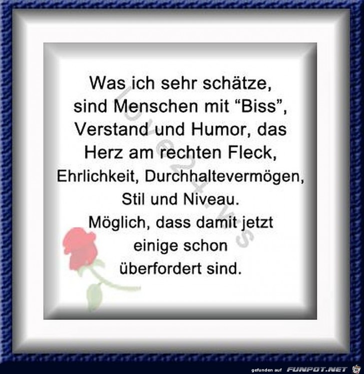 Menschen mit Verstand Menschen mit Verstand