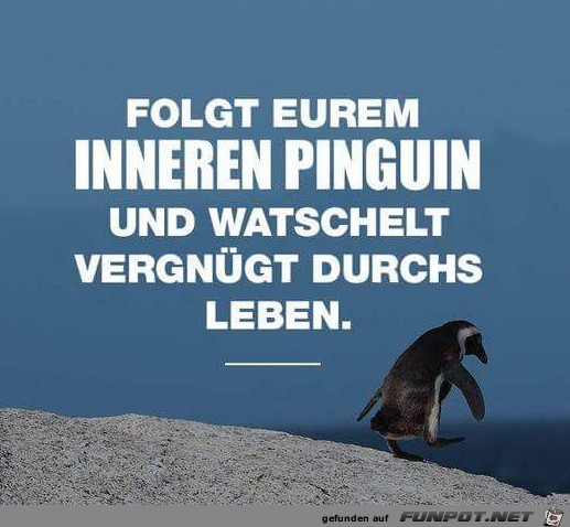 innerer pinguin