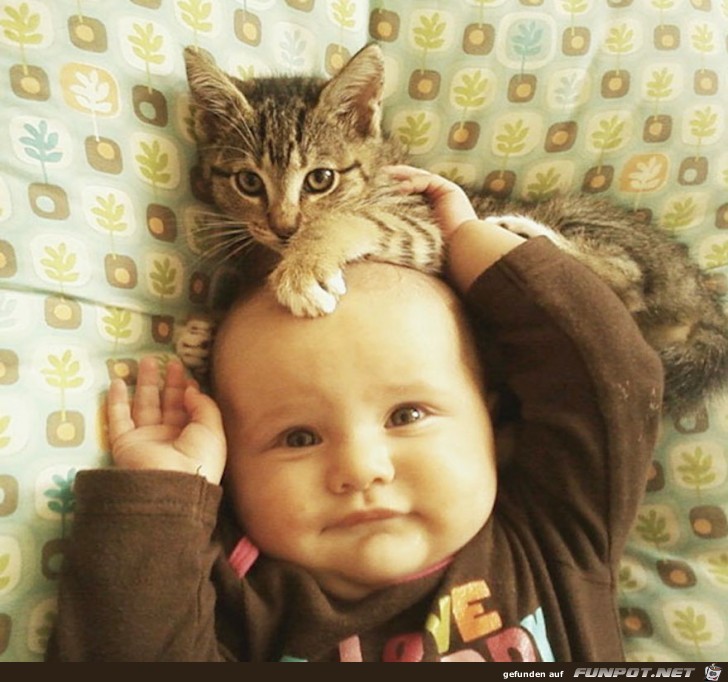 Deshalb brauchen Babys eine Katze!