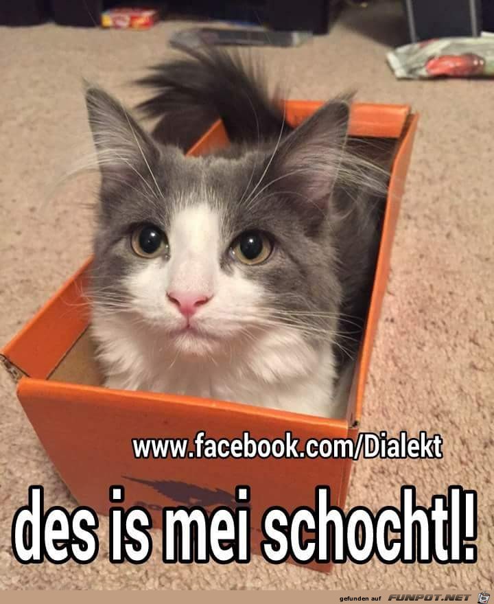 Meine Schachtel Meine Schachtel